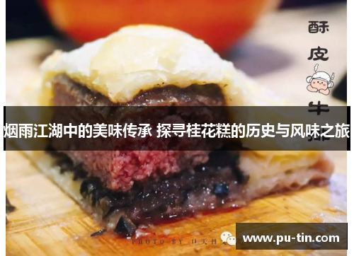 烟雨江湖中的美味传承 探寻桂花糕的历史与风味之旅