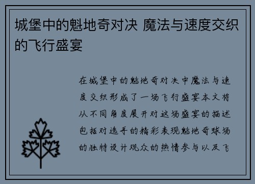 城堡中的魁地奇对决 魔法与速度交织的飞行盛宴